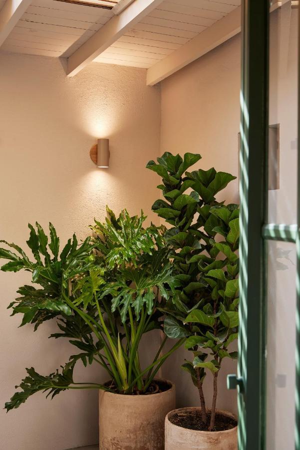 מדיין Antipoda Hotel Boutique מראה חיצוני תמונה